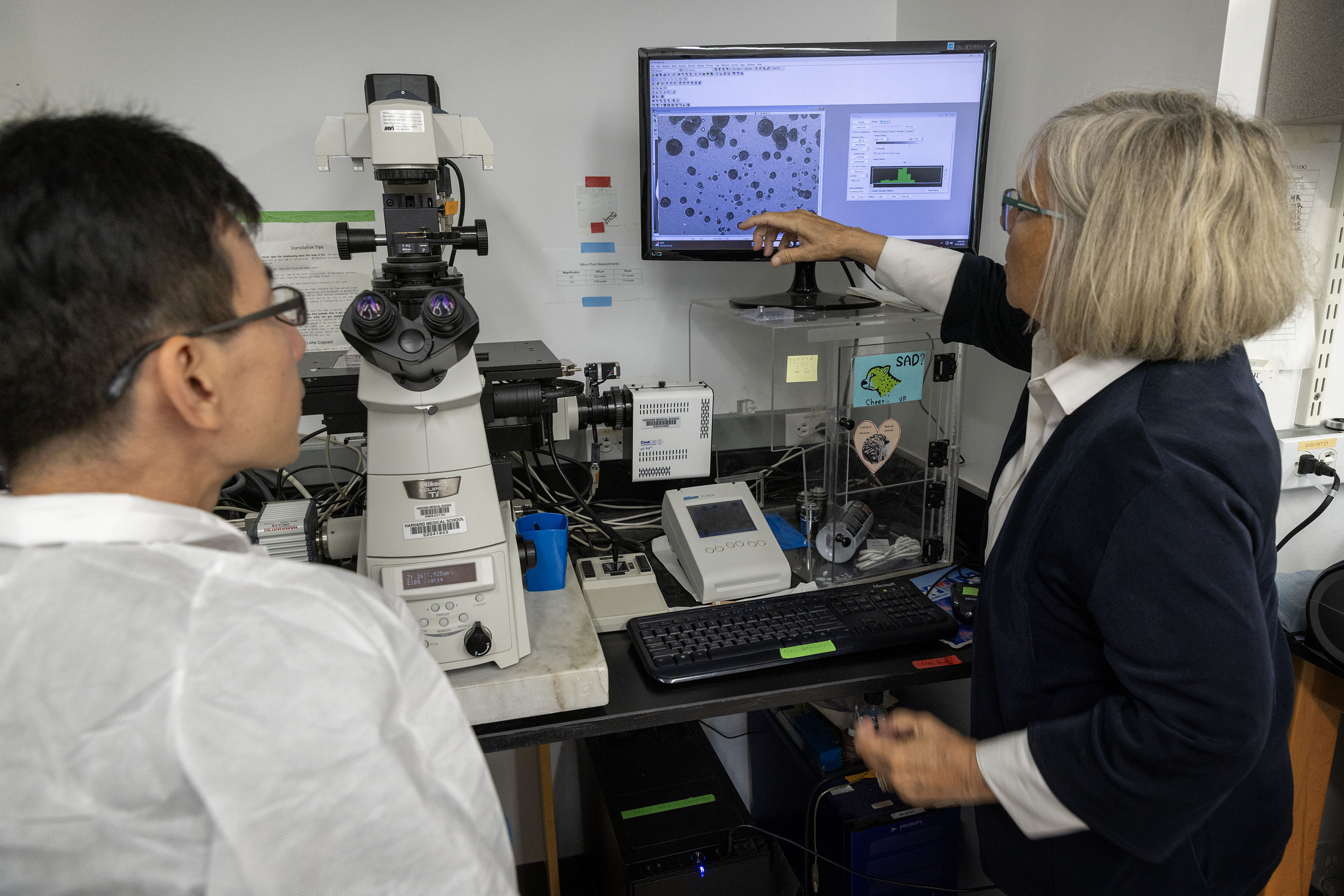 Joan Brugge sits with a colleague at a desk with a large microscope and a computer monitor. Brugge points to a scan seen on the monitor.