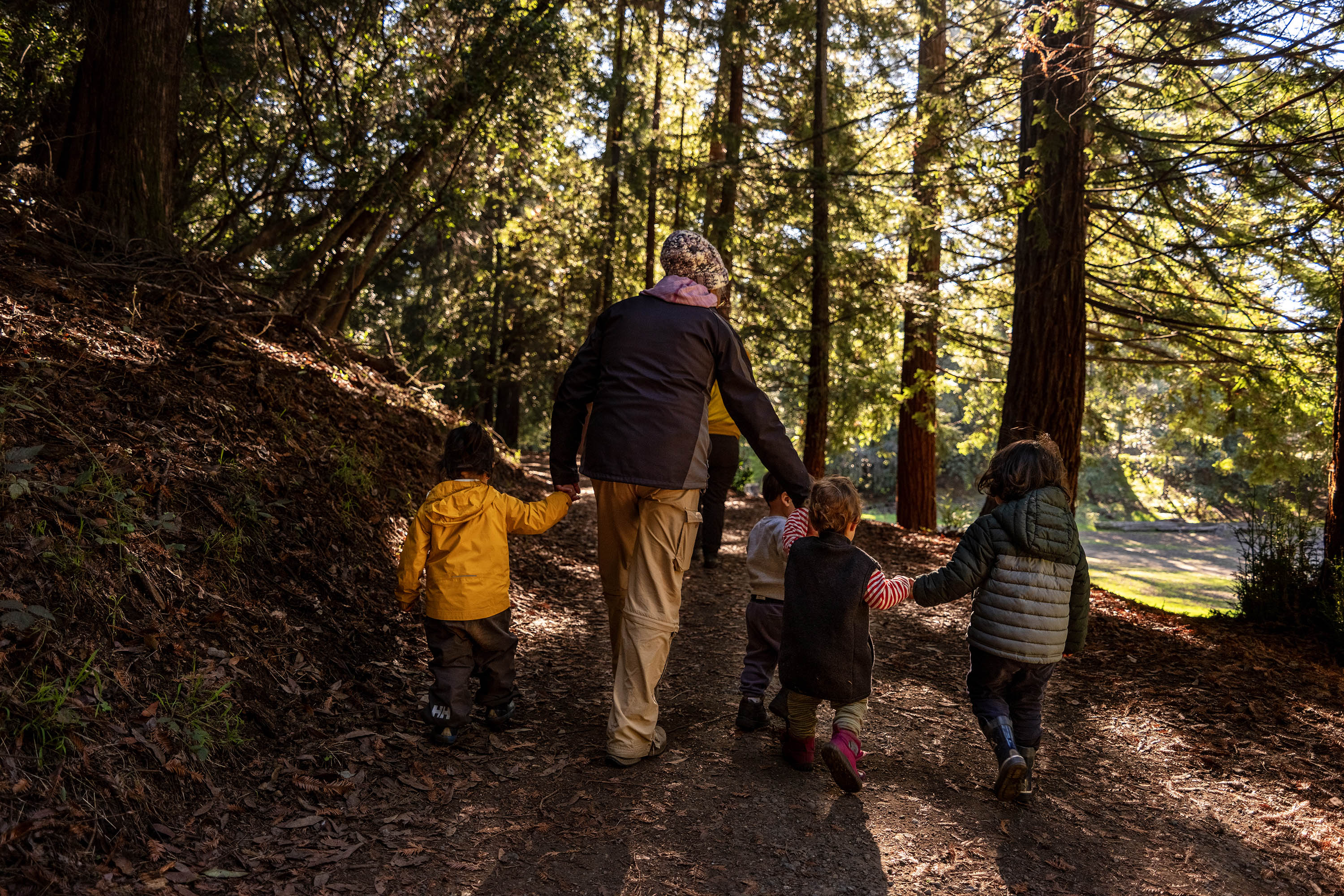 A senior woman holds hands with a group of four toddlers as they walk on a nature trail in a forest covered in dappled sunlight.