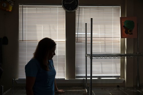 A woman stands near some shelves indoors and is in silhouette against two windows with blinds drawn.