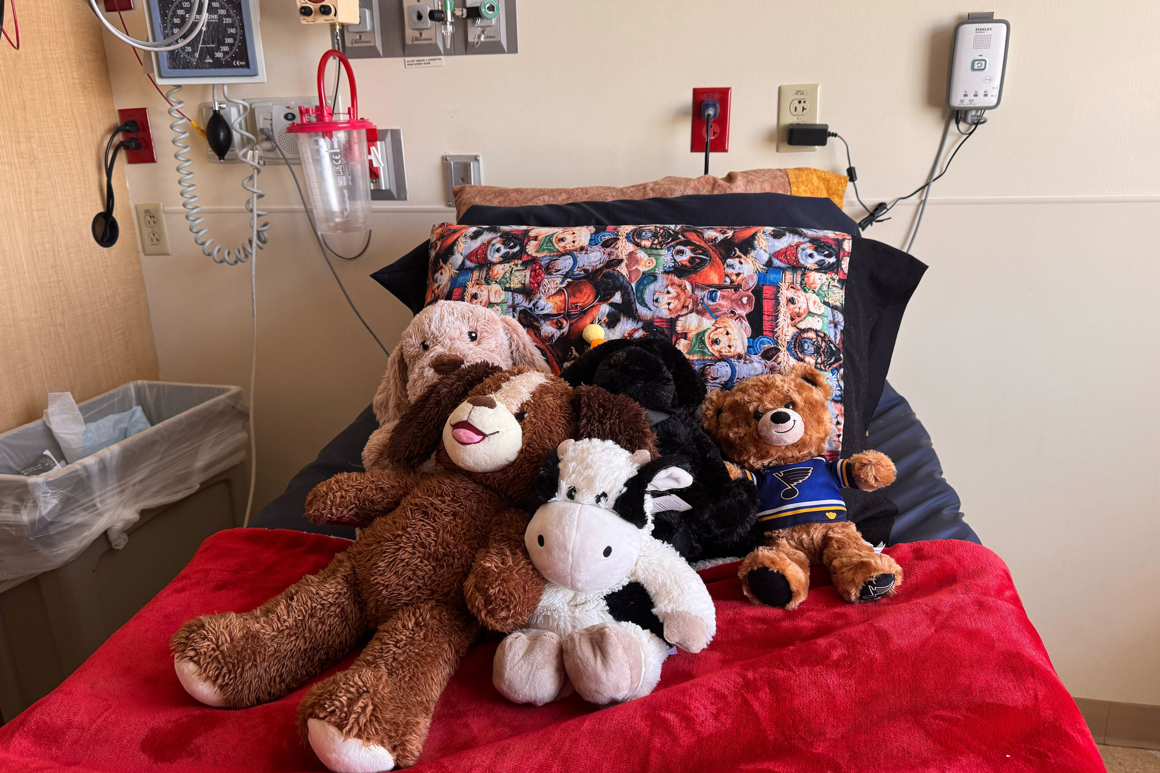 A hospital bed covered with a bright red blanket, a pillow with a pattern of puppies, and five stuffed animals.