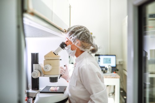 A photo of an embryologist in an IVF laboratory using a microscope while working with a pipette and an embryo in a petri dish.