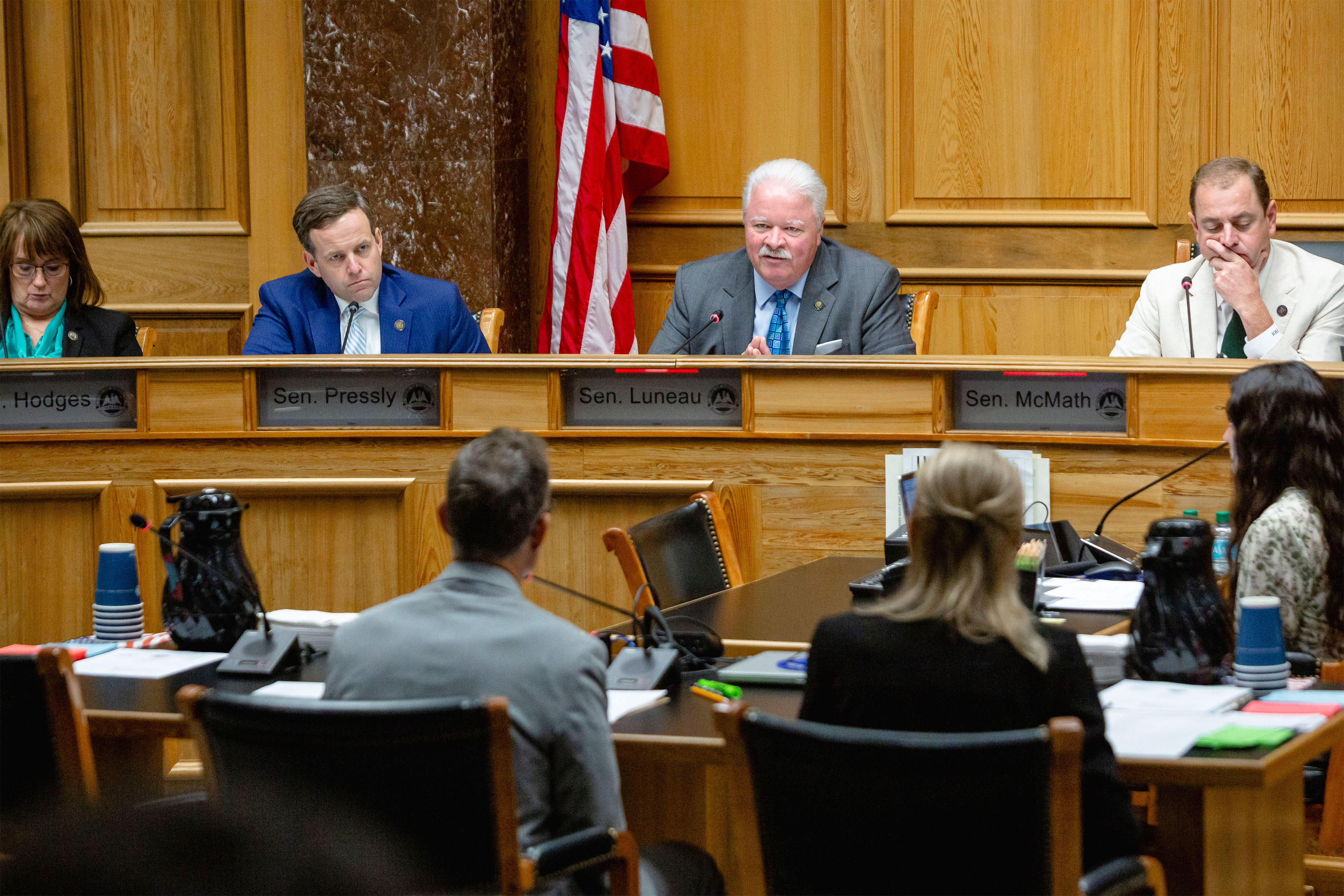 A photo of a Louisiana Senate hearing. Louisiana Sen. Jay Luneau is speaking.